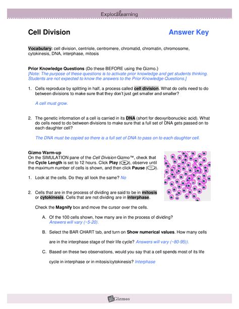 Answers Division Learning Cell Explore Gizmo Key