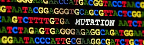 Answers In Genesis Mutations
