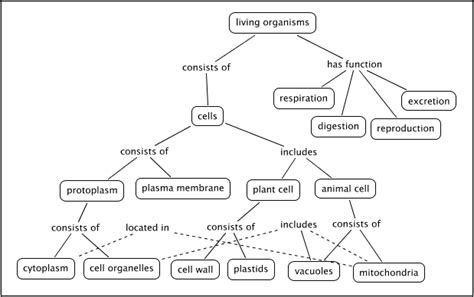 Answers To Classification Of Organisms Concept Mapping
