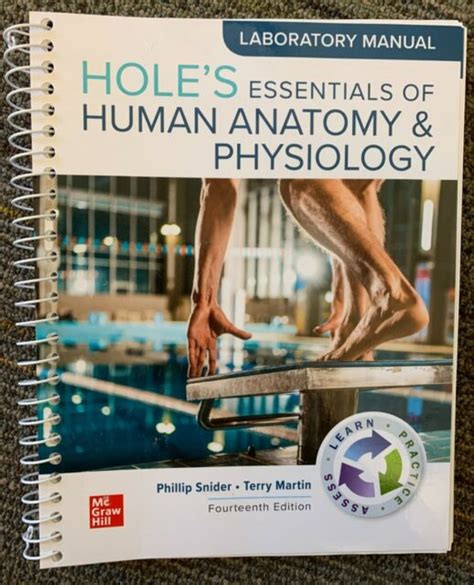 Answers for holes anatomy lab manual. - Please play safe penguins guide to playground safety.