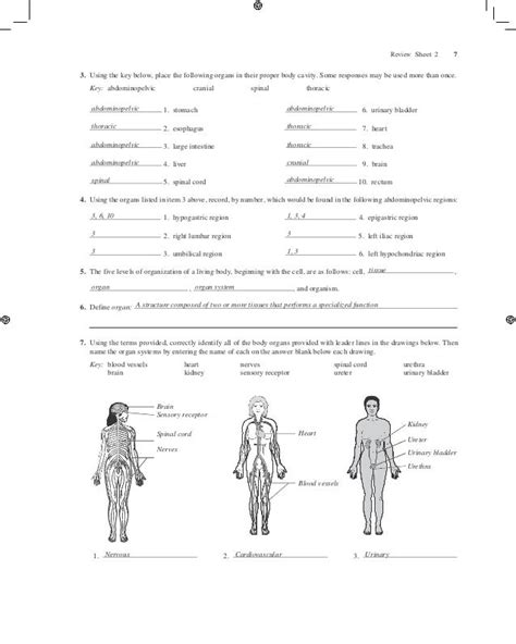 Answers to anatomy lab manual exercise 42. - System dynamics william palm solution manual download.