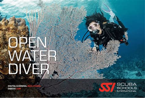 Answers to ssi open water diver manual. - Guida cibse c dati di riferimento di cibse.