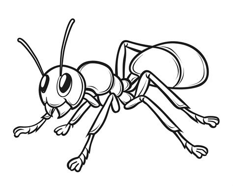 Ant Coloring Shee
