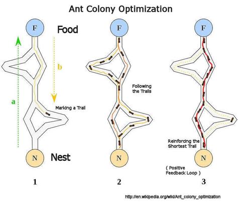 Ant colony optimization algorithm code in python.  The ant_walk provides the simulation of the j...