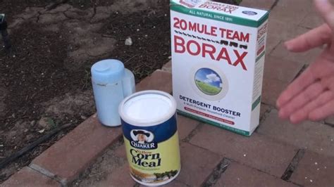 Ant eradication borax. Ant control. With over 95 years of experience in the pest control business, we understand how important it is to keep your home and family safe, especially when it comes to ants! Seeing just a few ants around your home may indicate that you have a larger problem. Whether you have a common house ant, carpenter ant, or fire … 