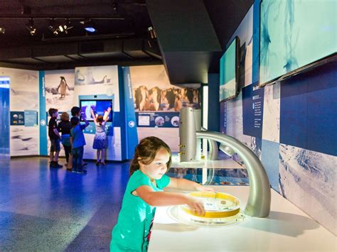 Antarctic Journey Opening Times Phillip Island Nature Parks