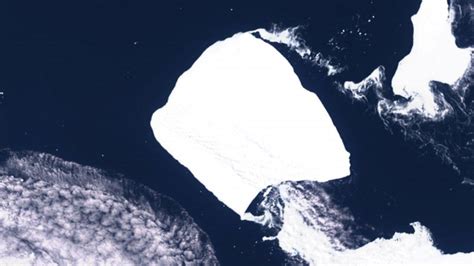 Antarctica iceberg a23a. Things To Know About Antarctica iceberg a23a. 