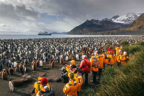 Antarktis cruising guide umfasst falklandinseln südgeorgien und ross. - Produção científica em psicologia e educação.