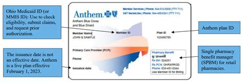 Anthem medicaid.  All in one place.  &bull; A care team that includes you, your family, your doctor(...