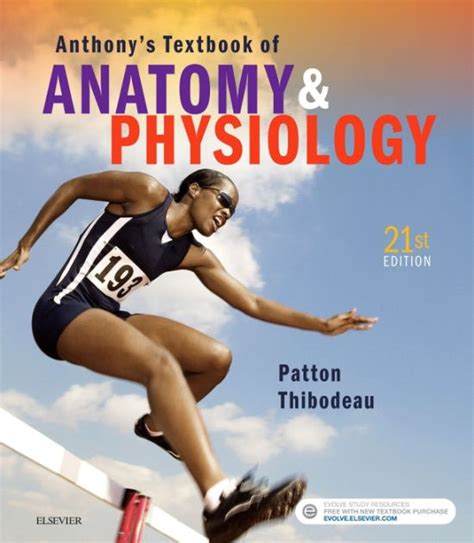 Anthonys textbook of anatomy and physiology 20e. - Study guide accounting part one identifying.