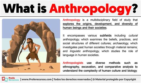 Anthropologist - Definition, Meaning & Synonyms