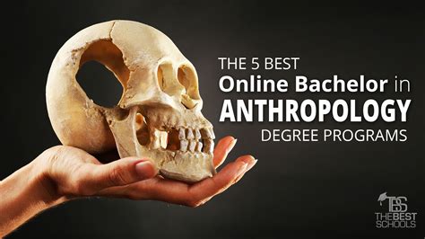 Anthropology degree online. Things To Know About Anthropology degree online. 