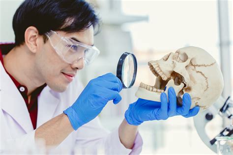 MS in Forensic Anthropology. The MS in Forensic Anthropology at BU Chobanian & Avedisian School of Medicine is designed to train individuals in the theory, practice, and methods of biological and skeletal anthropology employed by forensic anthropologists in medicolegal death investigations. Students will receive extensive training in osteology, …