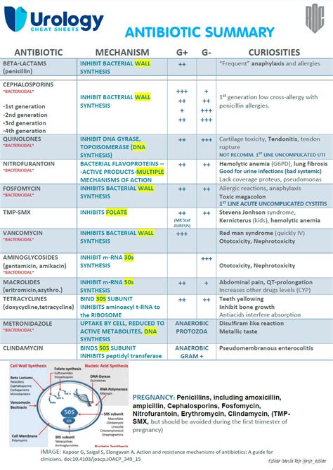 Antibiotic Chart Cheat Sheet & Pharmacy School Study Help Pharmacy