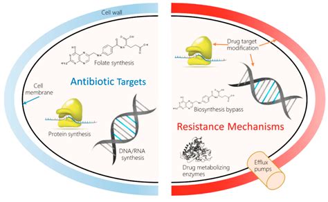 Antibiotics: Targets, Mechanisms and Resistance Wiley