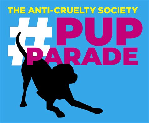 Anticruelty society. The Anti-Cruelty Society is an animal welfare organization and animal shelter in the River North neighborhood of Chicago, Illinois. The Anti-Cruelty Society (SPCA of Illinois) is a private, not-for-profit humane society that does not receive government assistance. 