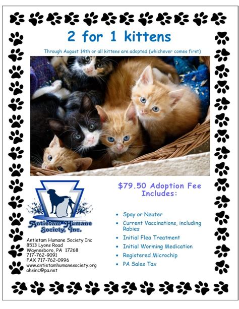 Antietam humane society photos. We have several trained and knowledgeable staff waiting to assist you in the decision making process. See below for additional information regarding our adoption process. … 