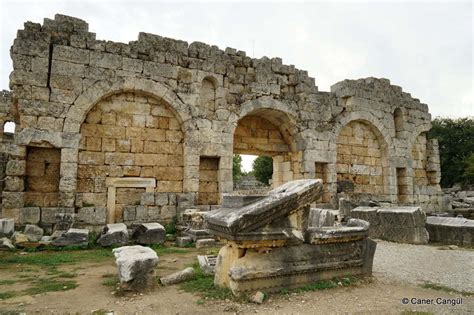 Antik Halı ve Koltuk Yıkama