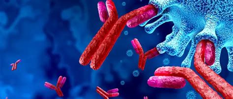 codini.rgarabwor.edu.pl. 