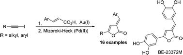 Antimicrobial activity of 5-alkyl-3H-furanones and their ... - Springer