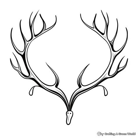 Antler Coloring