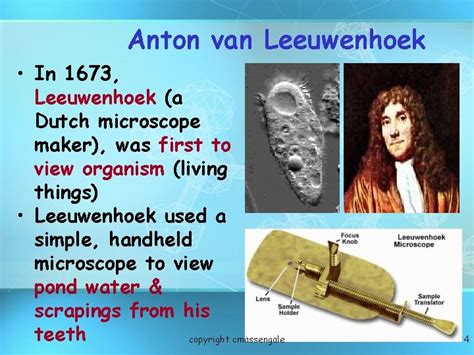 Antonie van leeuwenhoek contribution to cell theory