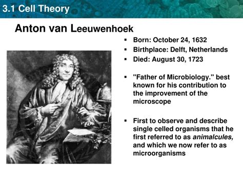 Antonie van leeuwenhoek contribution to microbiology ppt