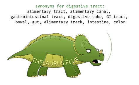 Antonym de digestive tracts - Idioms Proverbs