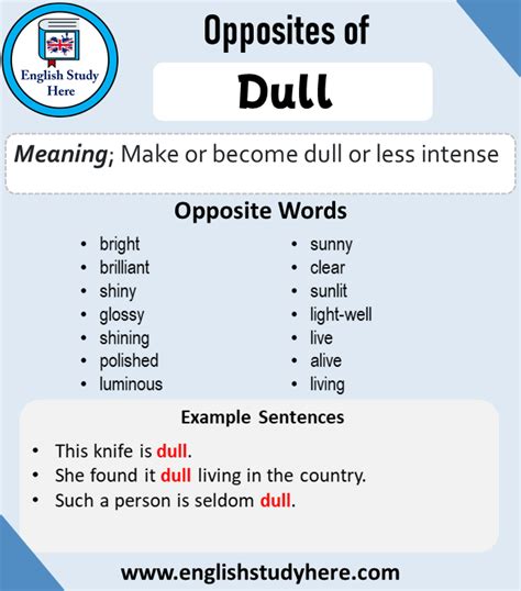 Antonym for dull. Things To Know About Antonym for dull. 