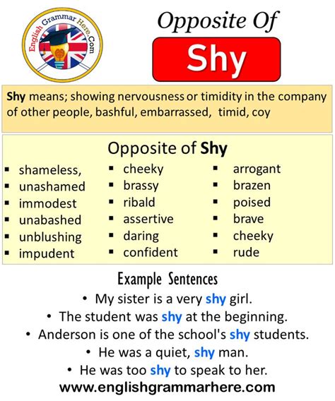 Antonym of Shytown