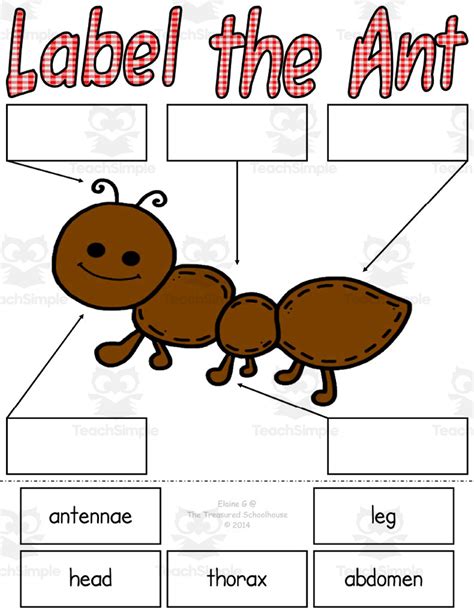 Ants Clipart Worksheets & Teaching Resources Teachers Pay Teachers