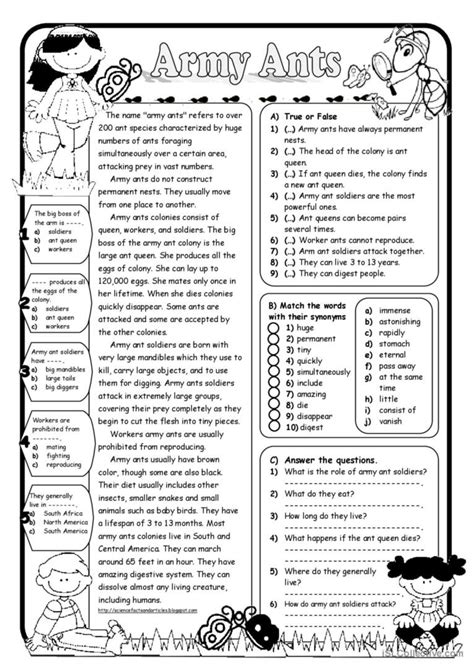 Ants English Esl Worksheets For Distance Learning And Physical Classrooms