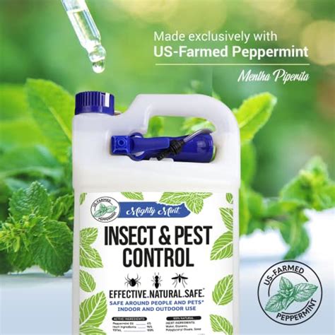 Ants mint oil. Peppermint Oil: The Ultimate Ant Repellent That Actually Works! Published: February 8, 2024. Written by: Pearla Farrow. Discover the powerful ant-repelling properties of … 