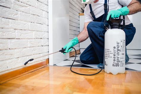 Pest control is an unpleasant chore around the house, but one that must be taken care of to maintain proper sanitation. Pests like fruit flies, cockroaches, and rodents like rats a.... 