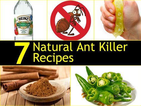 Ants poison natural. Advanced Fire Ant Killer. Over'n Out! Advanced Fire Ant Killer won our top spot overall based on several points: It kills the mound in just 15 minutes, kills the queen within 24 hours and a single application protects against fire ants for up to … 