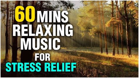 Anxiety music. Meditation Relax Music Channel presents a Relaxing Stress Relief Music Video with beautiful nature and calm Music for Meditation, deep sleep, music therapy. ... 