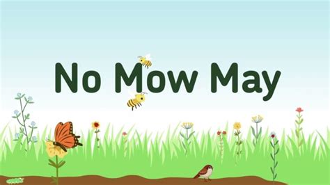 Any point to “No Mow May”?