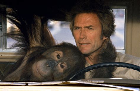Any which way but loose movie. Sequel to "Every Which Way but Loose," in which Eastwood is back as bare-knuckle brawler Philo Beddoe. With his 165-pound orangutan pal Clyde, Philo is lured out of retirement by a new contender, and mobsters kidnap his girl to … 