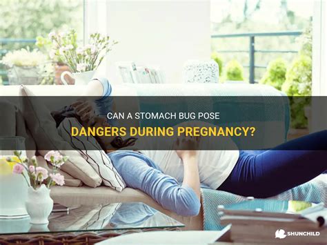 Anyone catch a stomach bug while pregnant?? - August 2024 …