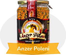 Anzer Polen Anzer Poleni. 