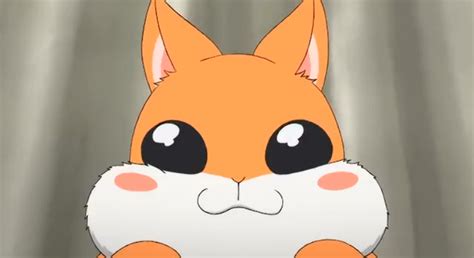 Ao - Pukyuu *w* Animaux mignons, Animaux, Mignon