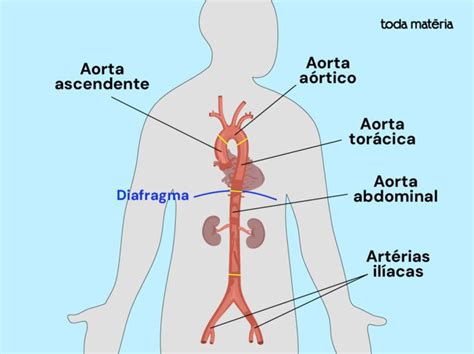 Aorta.O Leaked XXX 🍌 165 Photos