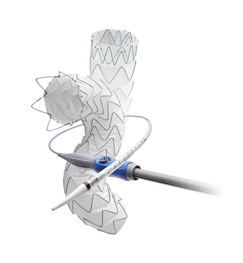 Aortic Stent Grafts Medtronic