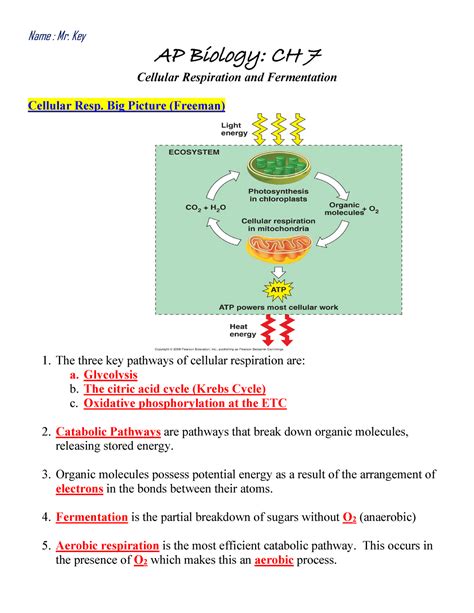 Ap bio cellular respiration study guide. - General chemistry 6th edition solution manual.