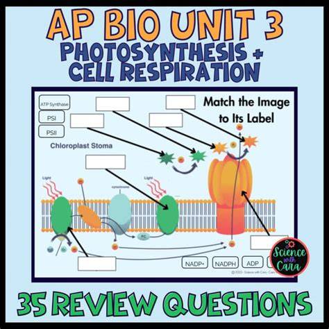 Ap bio unit 3 photosynthesis and cellular respiration.  Photosynthesis.  Topic 3.  This re...