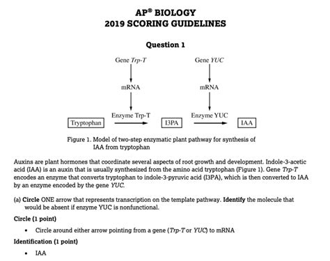 AP Biology Scoring Guide Unit 6 Progress Check: FRQ 1. Read each question carefully. Write your response in the space provided for each part of. Upload to Study. ... AP_Bio_Unit_6_Test_FRQ. Bergen Community College. BIO 011-002. View More. AP Biology Scoring Guide Unit 6 Progress Check: .... 