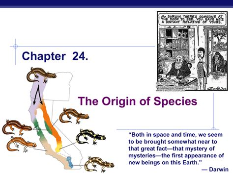 Ap biology chapter 24 the origin of species study guide answers. - Suzuki dr750 dr800 1988 1997 full service repair manual.
