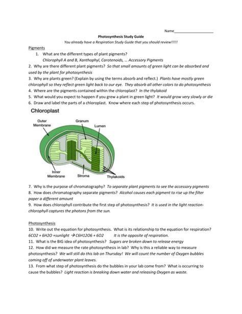 Ap biology photosynthesis study guide key. - Manual de como desmontar un hp pavilion 8000.