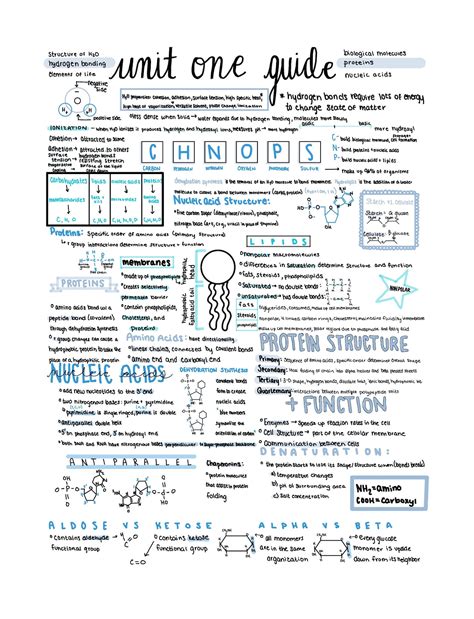The AP BIO- Unit 1: Chemistry of Life Cheat Sheet was released by katiefocht on Cheatography. Here's how they described it: Chemistry of Life Test Review Download the PDF version here. Reply ... Biology 103 Unit 1 Cheat Sheet by Sbrion0352 (3 pages) #education #biology #test.. 