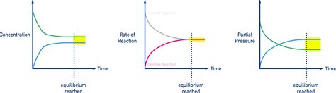 Ap chem unit 5.  Equilibrium is reached when molecules are left alone bu...